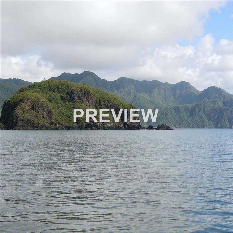 island-comoros-rinsed-e72f57_250318195903_Filename Text 2_02416_Filename Text 3_result